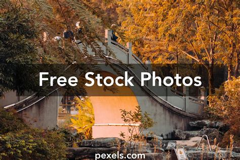 Arch Photos, Download The BEST Free Arch Stock Photos & HD。